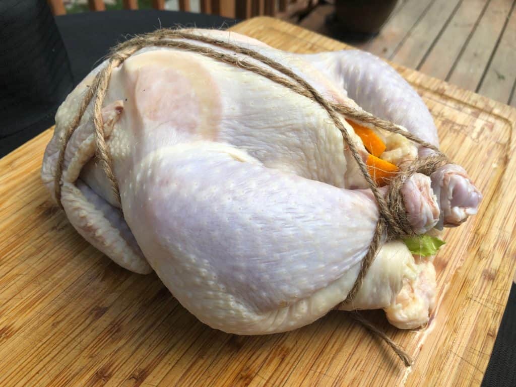 Stuffed and Trussed Bird
