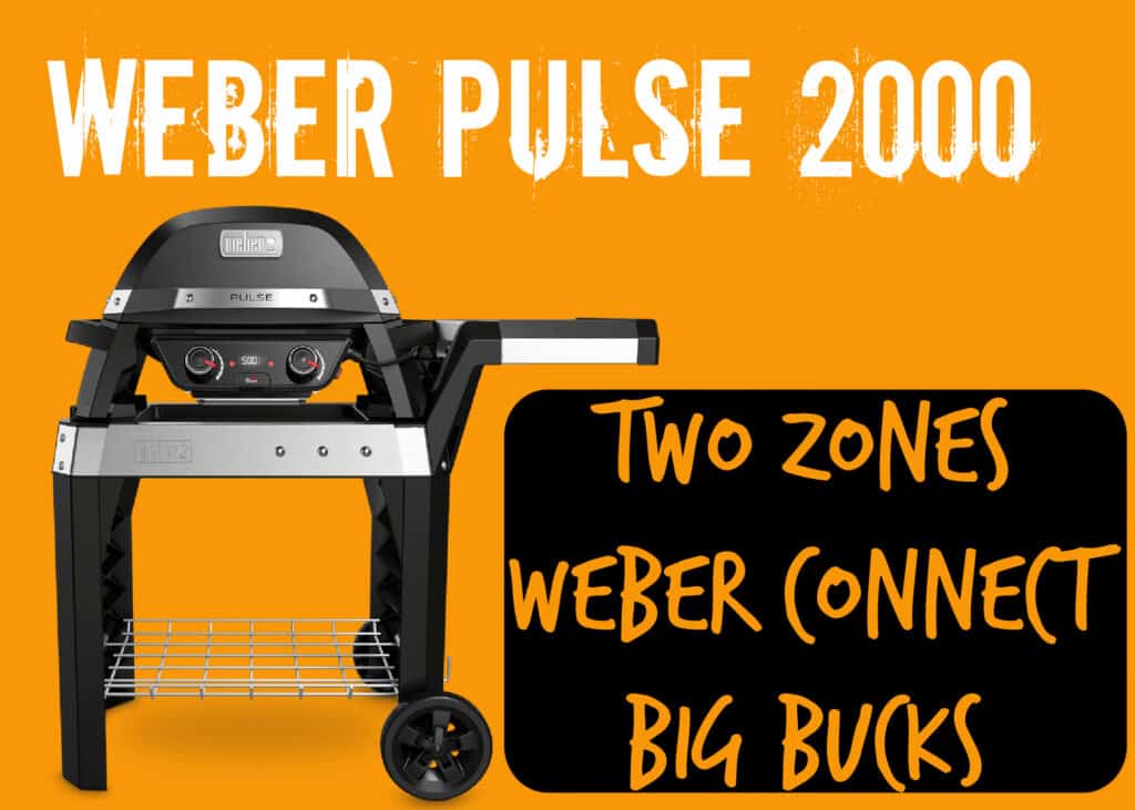Weber Pulse 2000