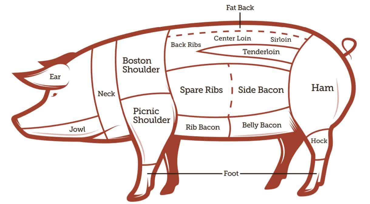 Where is Bacon on a Pig?